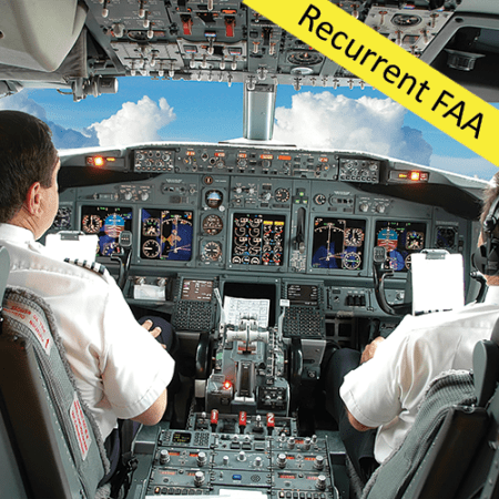 Airplane pilots in the cockpit. Recurrent FAA course